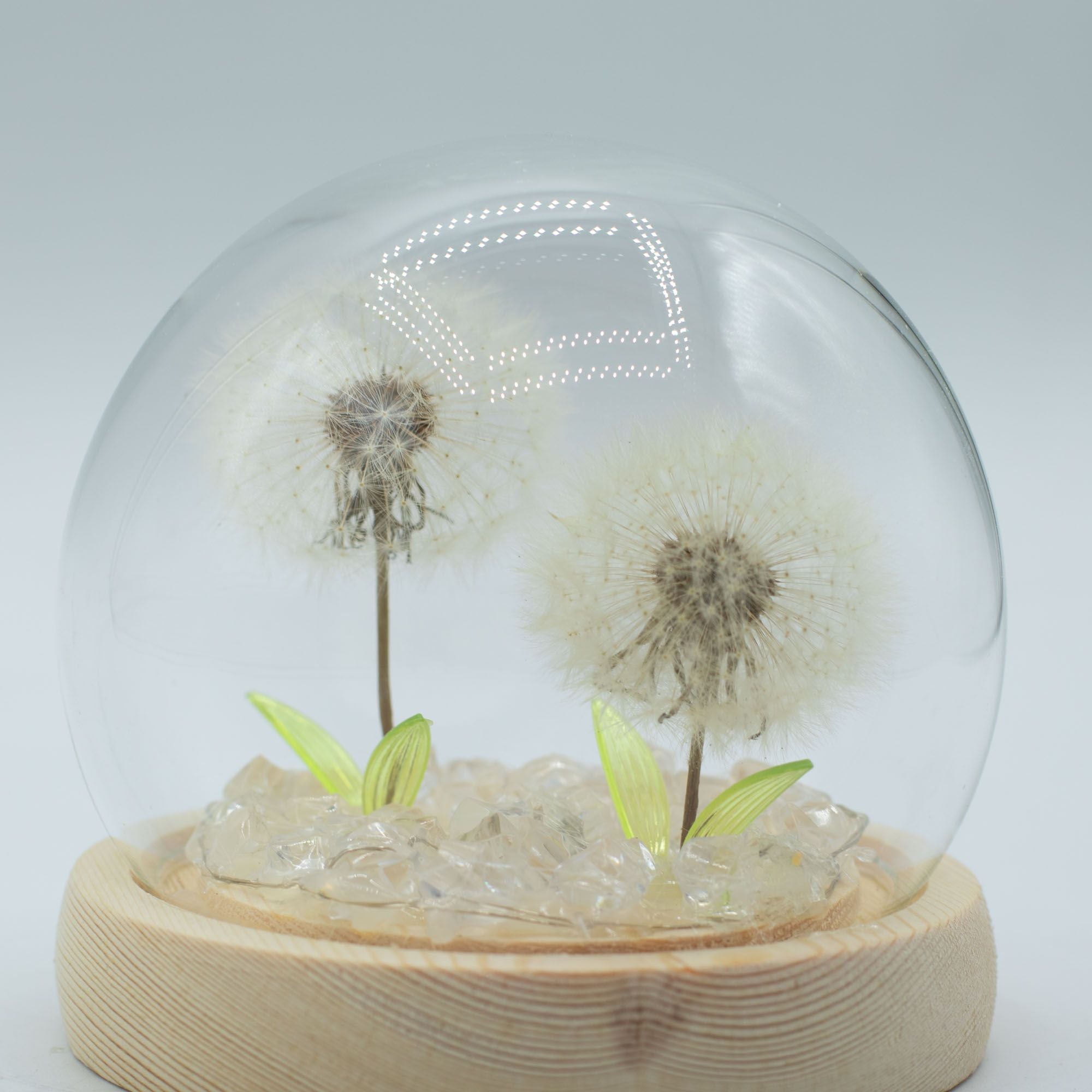 Delicate Dandelion LED USB Light Dome with Wooden Base, Soft Glow Accent for Minimalist Home and Wellbeing Spaces