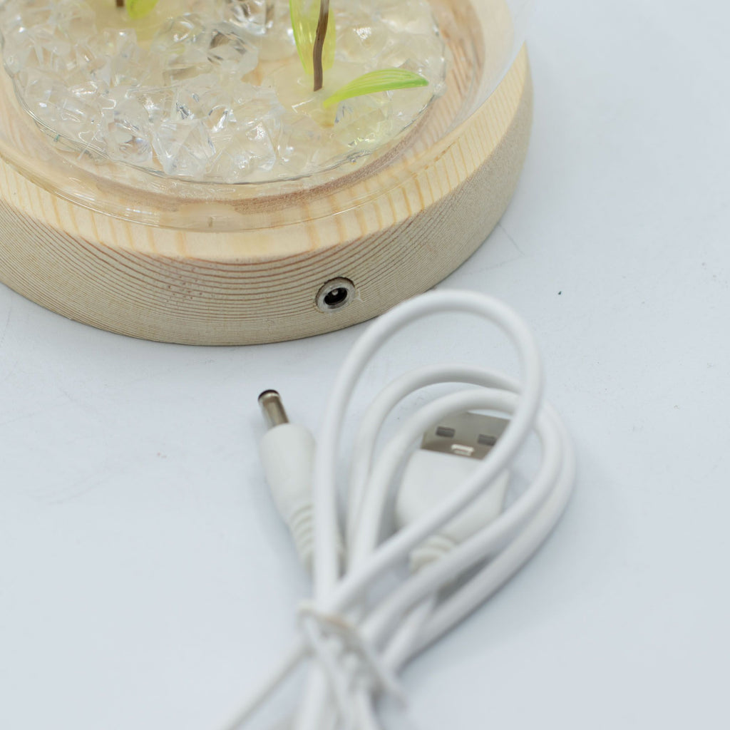 Delicate Dandelion LED USB Light Dome with Wooden Base, Soft Glow Accent for Minimalist Home and Wellbeing Spaces