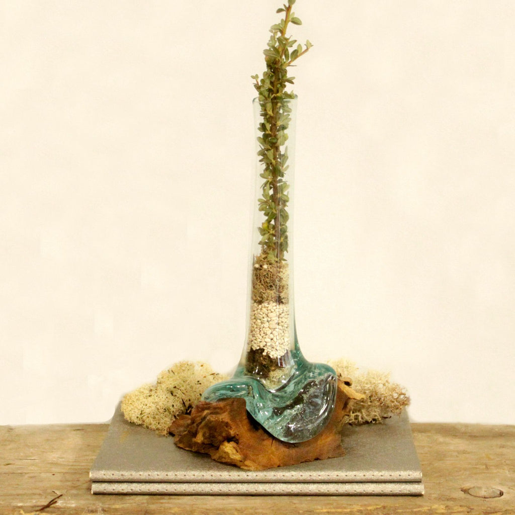Molten Glass on Wood - Vase - Ornament