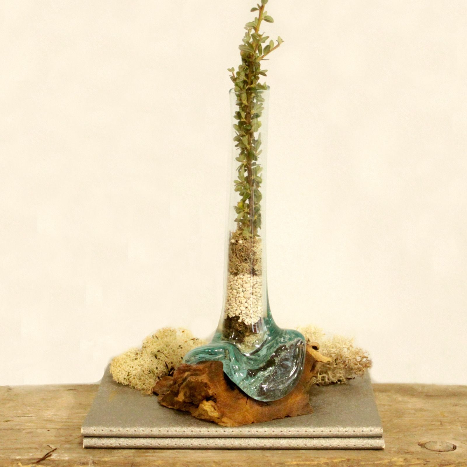 Molten Glass on Wood - Vase - Ornament