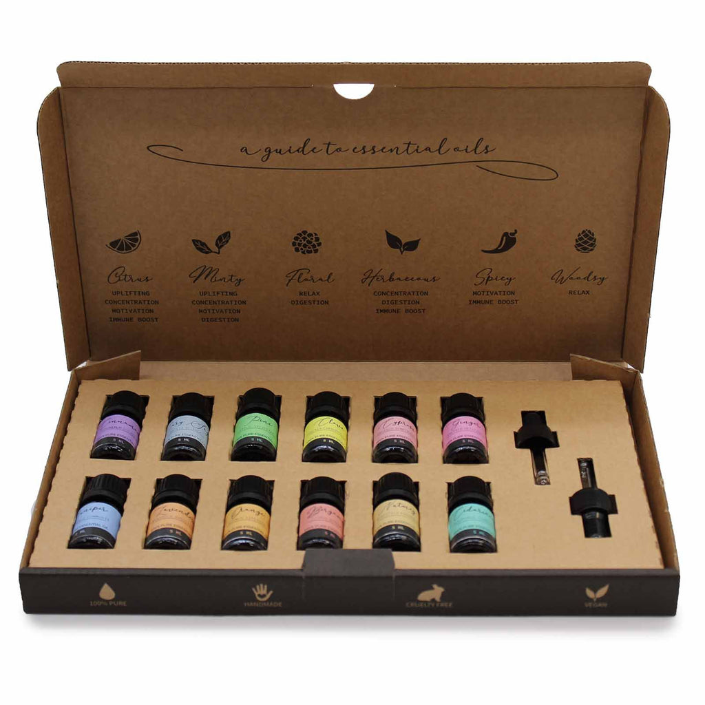 Aromatherapy 12 Essential Oils Gift Set