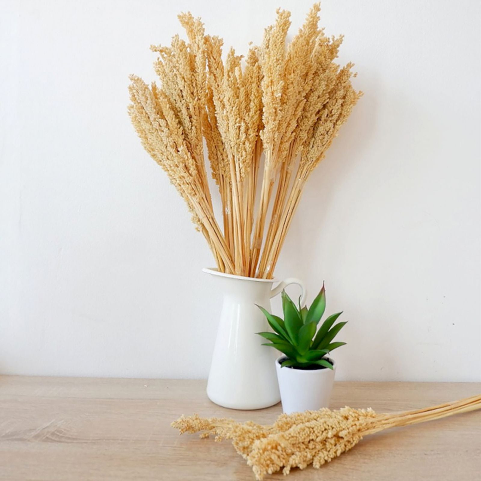 Cantal Dried Grass Flowers Display Decor Natural Colour
