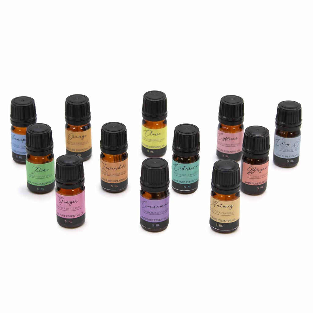 Aromatherapy 12 Essential Oils Gift Set
