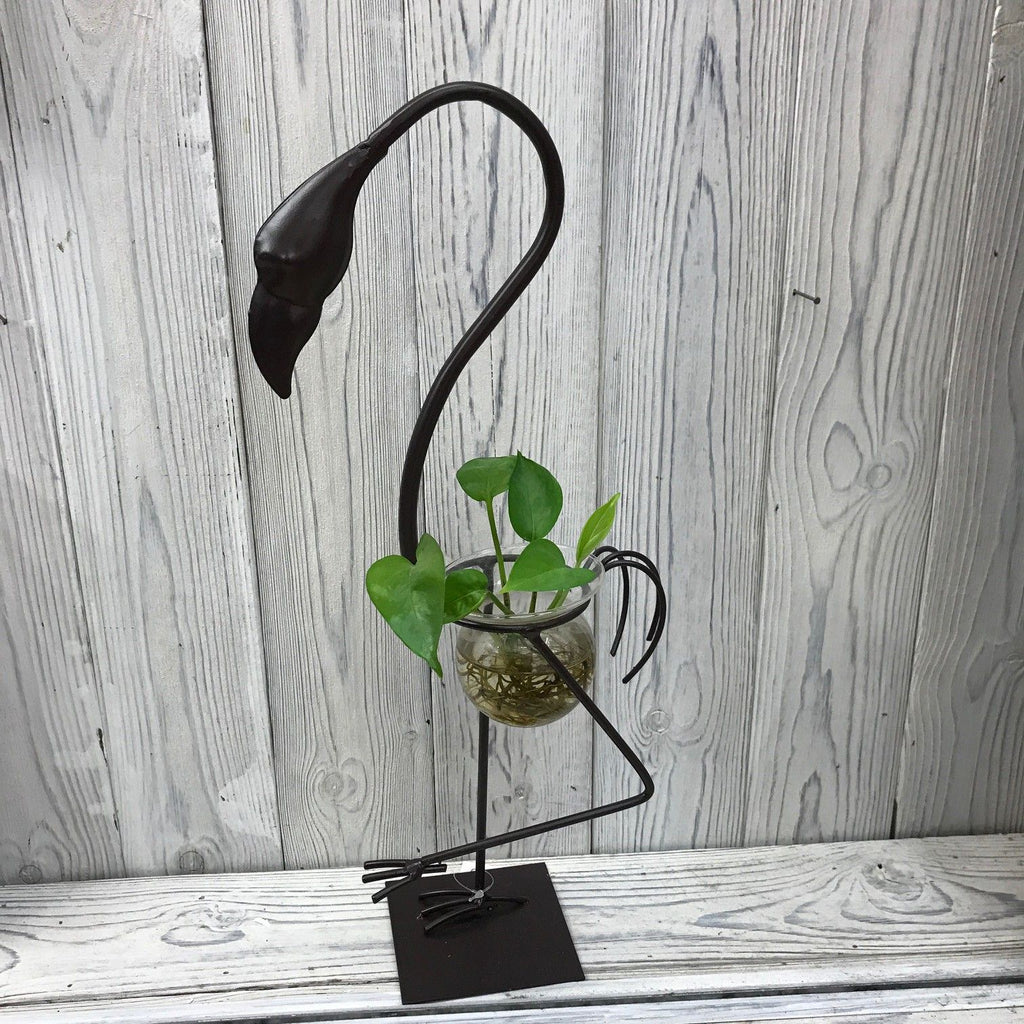 Hydroponic home décor with industrial iron and wood frame, glass tubes for plants, minimalistic floral display stand