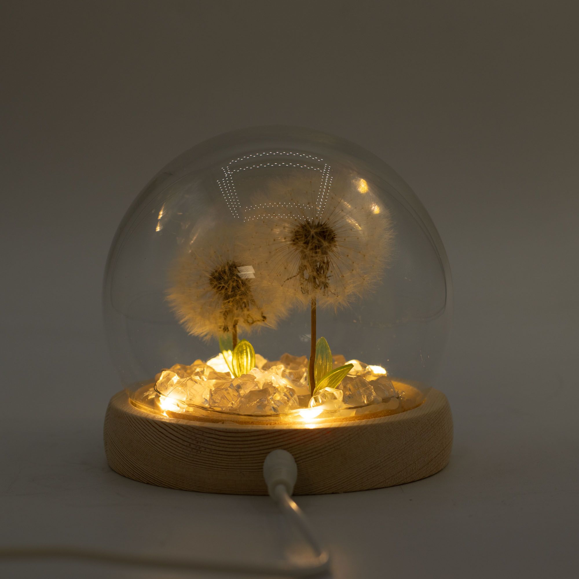 Delicate Dandelion LED USB Light Dome with Wooden Base, Soft Glow Accent for Minimalist Home and Wellbeing Spaces