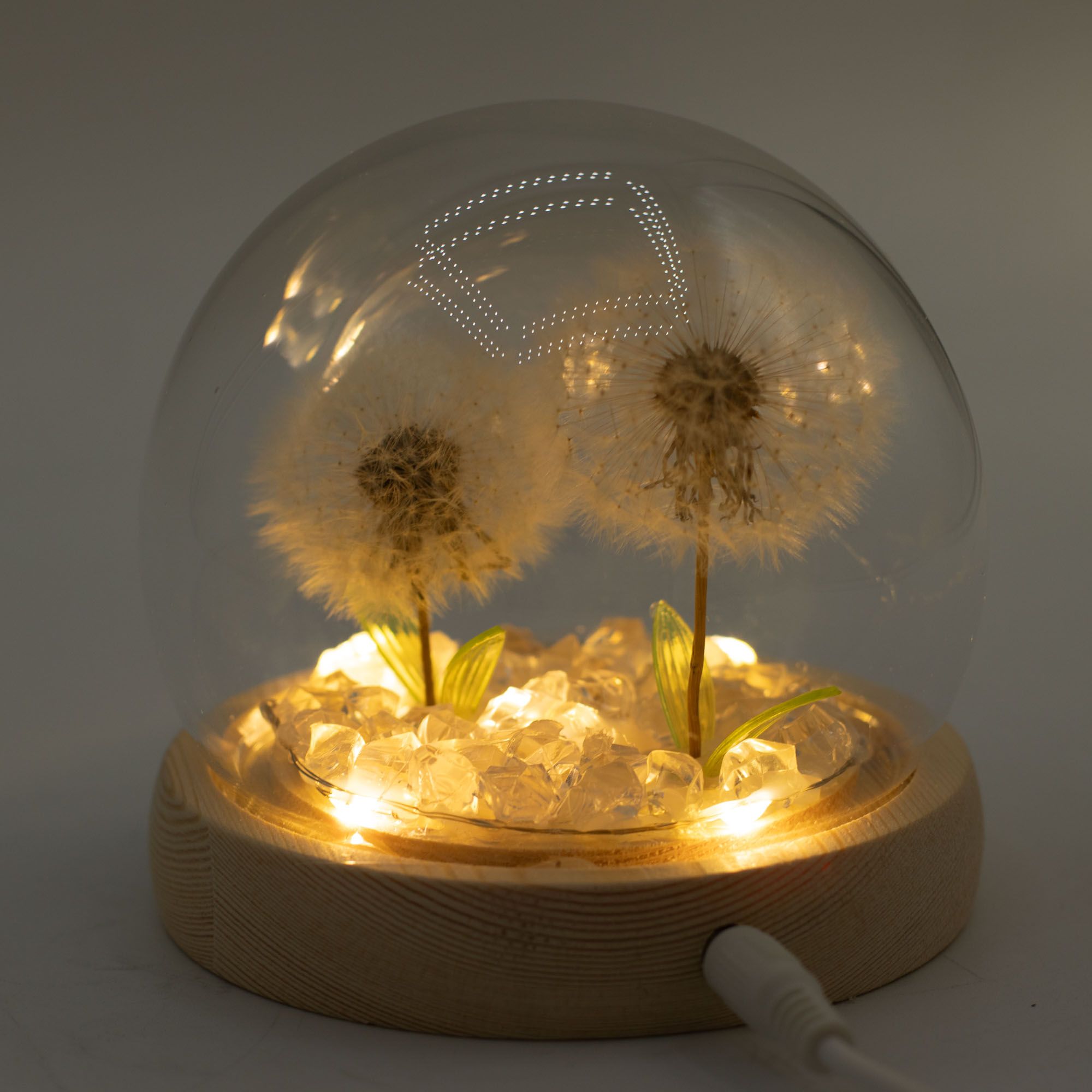Delicate Dandelion LED USB Light Dome with Wooden Base, Soft Glow Accent for Minimalist Home and Wellbeing Spaces