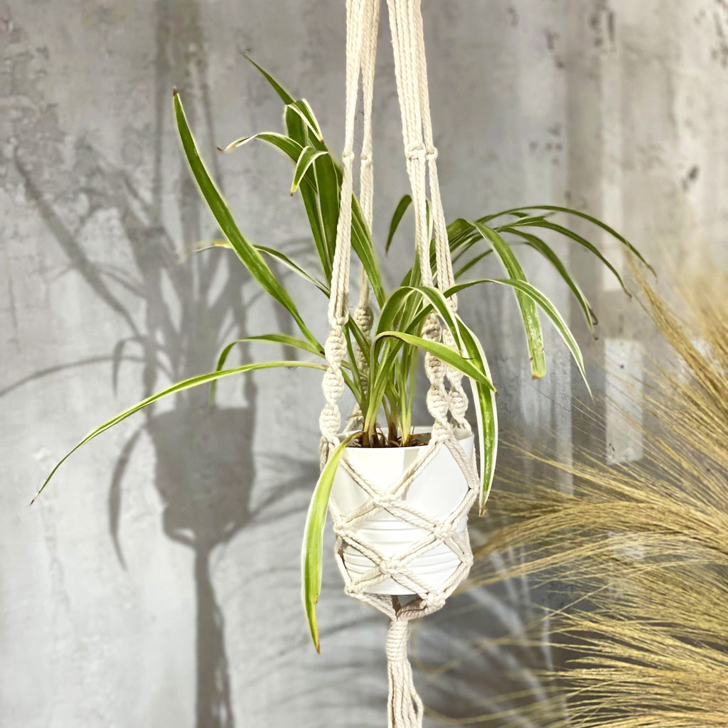 Plant Pot Holder Handmade Macrame Extra Long