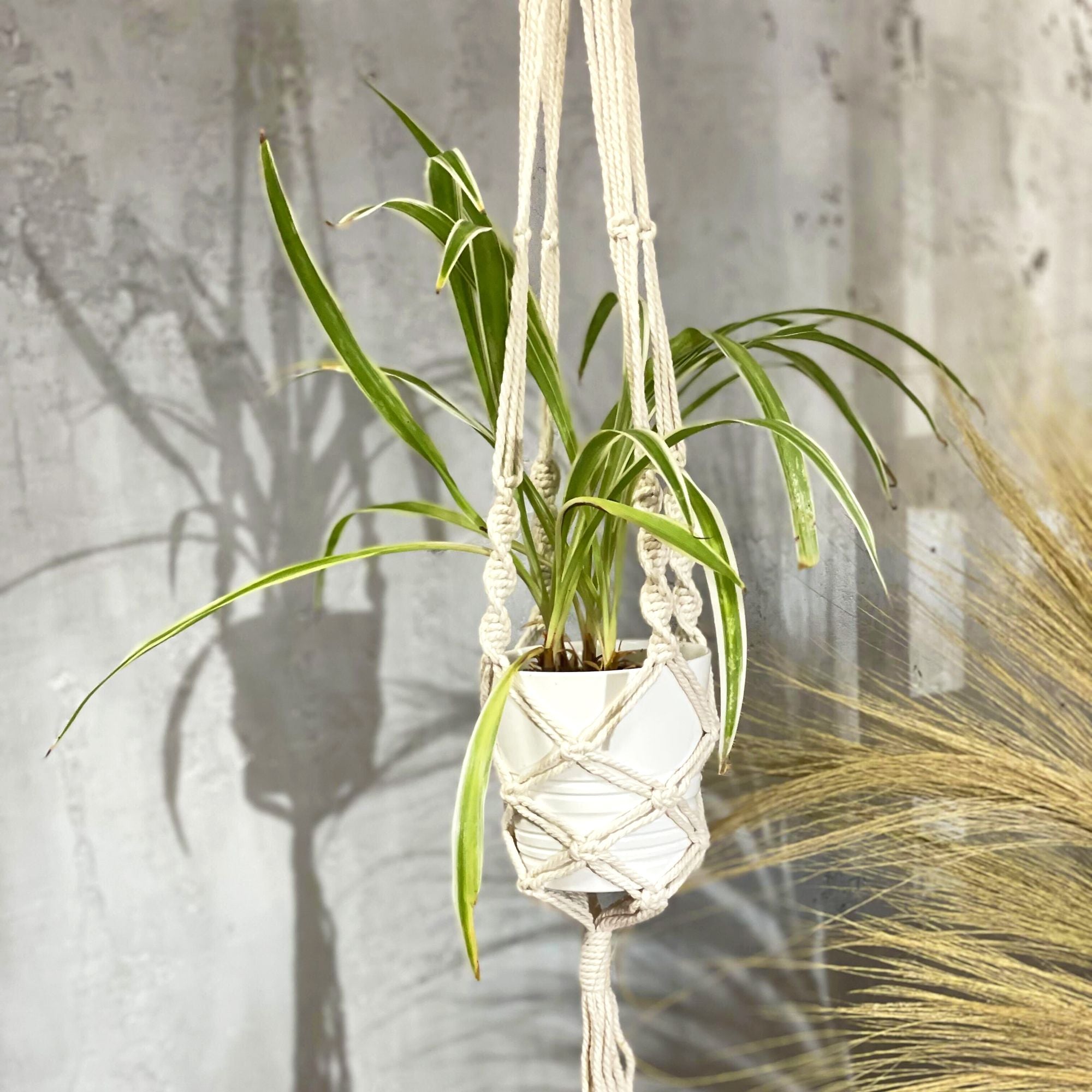 Plant Pot Holder Handmade Macrame Extra Long