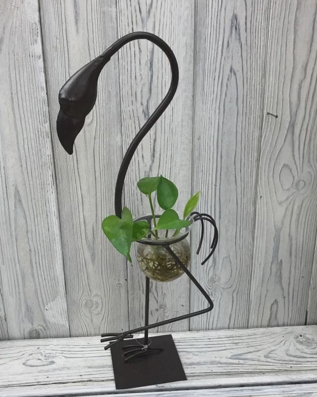 Hydroponic home décor with industrial iron and wood frame, glass tubes for plants, minimalistic floral display stand