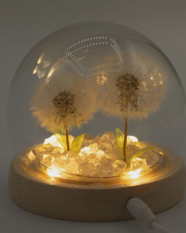 Delicate Dandelion LED USB Light Dome with Wooden Base, Soft Glow Accent for Minimalist Home and Wellbeing Spaces
